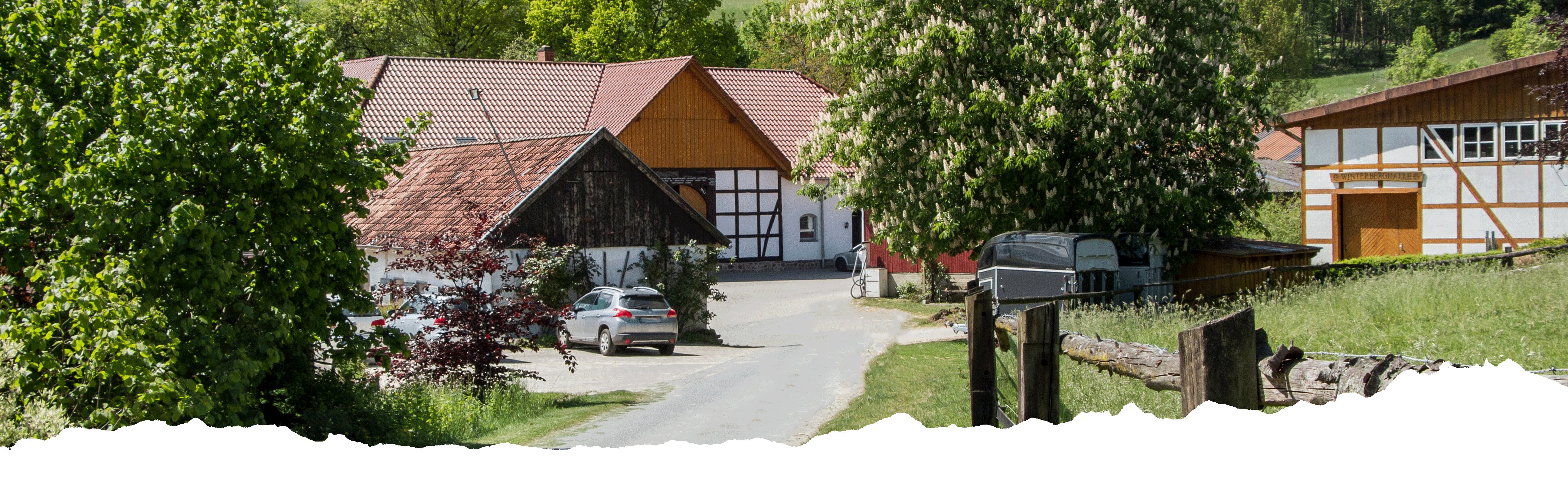 Reithof Schlichte Titelbild
